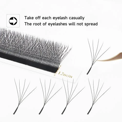 W-5D lash(001)
